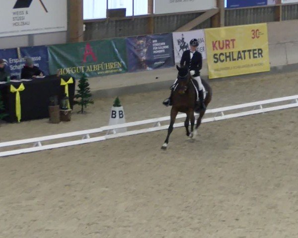 Reitturnier Schaffhausen 2024