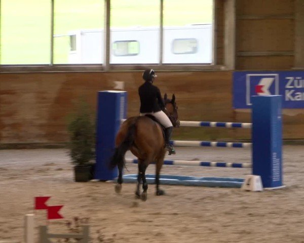 Reitturnier Rüti 2024