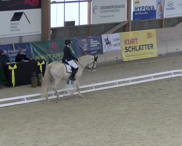 Reitturnier Schaffhausen 2024
