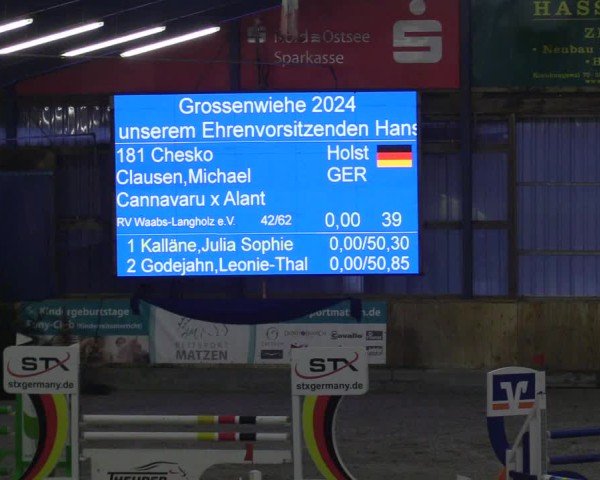 Reitturnier Großenwiehe 2024