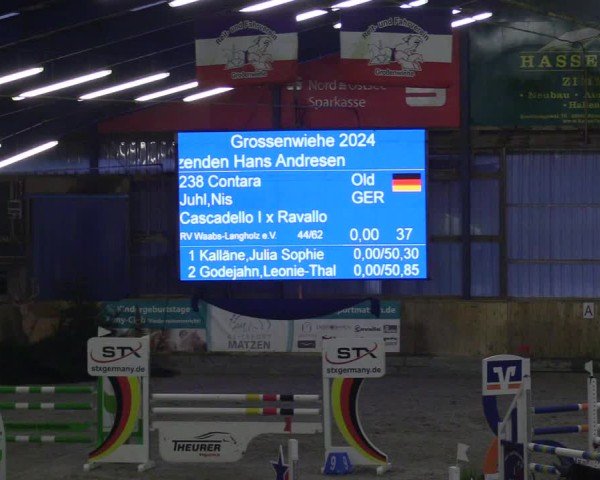 Reitturnier Großenwiehe 2024