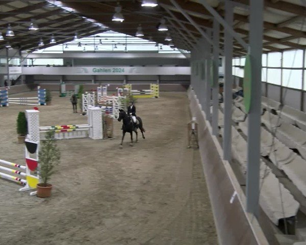 Reitturnier Gahlen 2024
