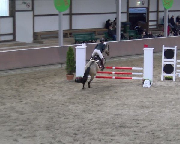 Reitturnier Gahlen 2024