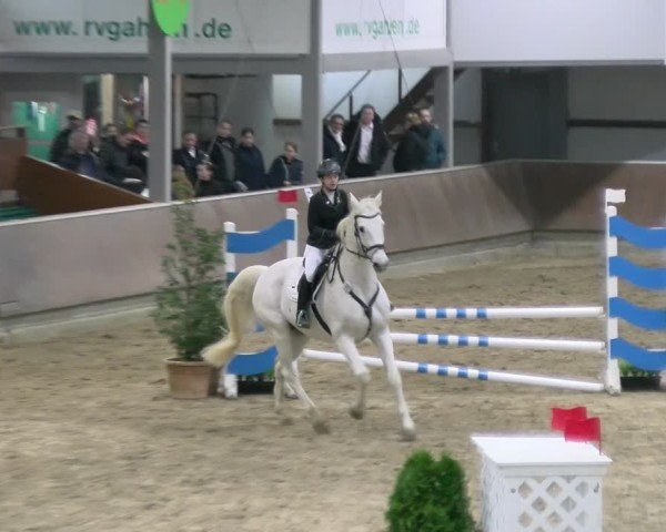 Reitturnier Gahlen 2024