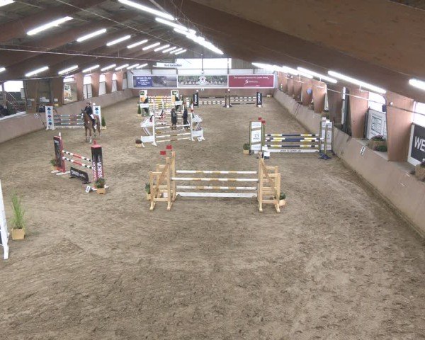 Reitturnier Bad Salzuflen 2024