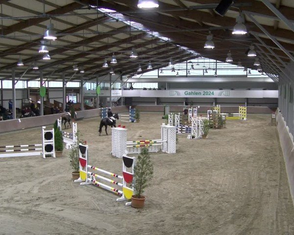 Reitturnier Gahlen 2024