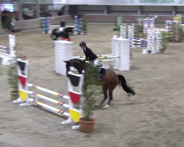 Reitturnier Gahlen 2024