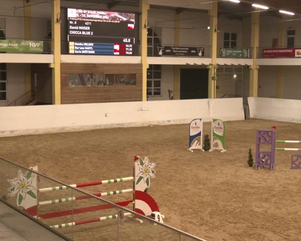 Reitturnier Stadl-Paura 2024