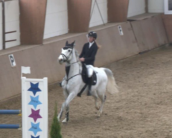 Reitturnier Bad Salzuflen 2024