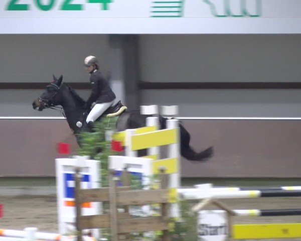 Reitturnier Gahlen 2024
