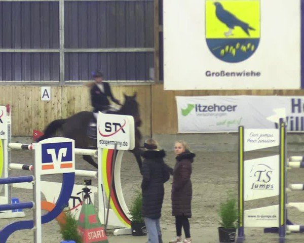 Reitturnier Großenwiehe 2024