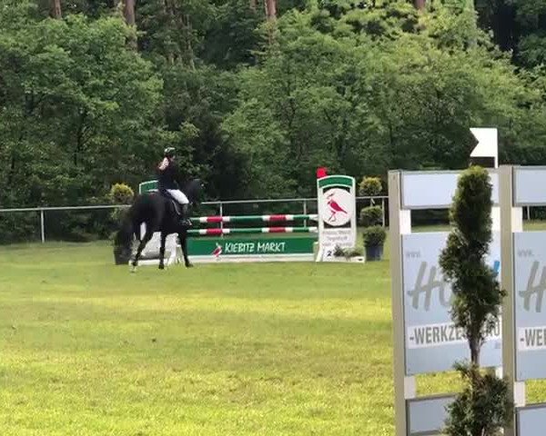 Video von Django Unchained