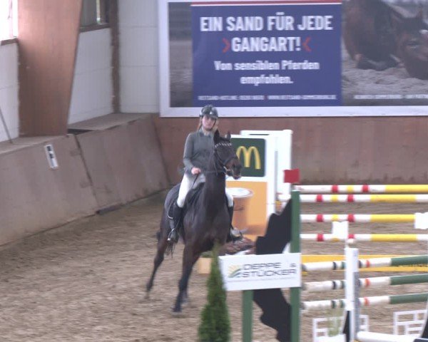 Reitturnier Bad Salzuflen 2024