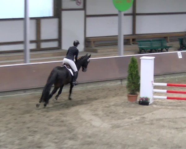 Reitturnier Gahlen 2024