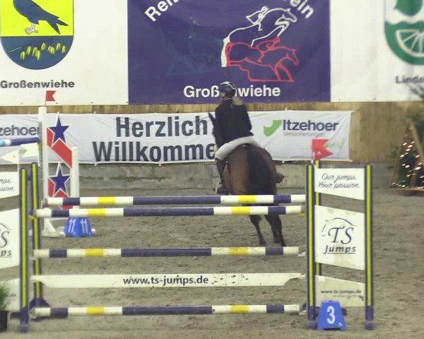 Reitturnier Großenwiehe 2024