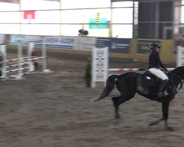 Reitturnier Pausin 2024