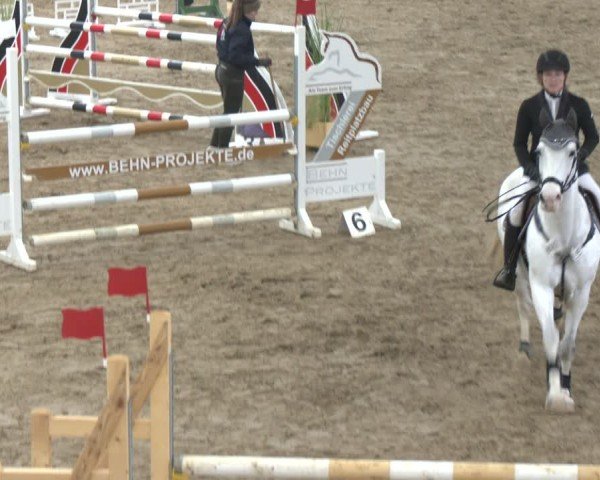 Reitturnier Bad Salzuflen 2024