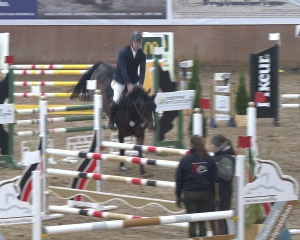 Reitturnier Bad Salzuflen 2024