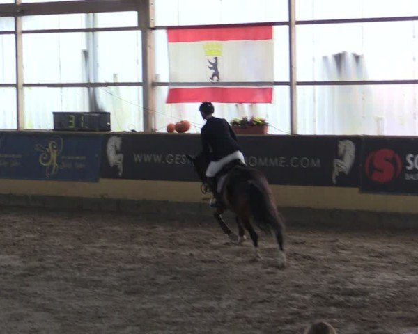 Reitturnier Pausin 2024