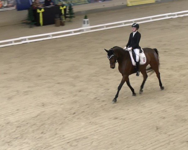 Reitturnier Schaffhausen 2024