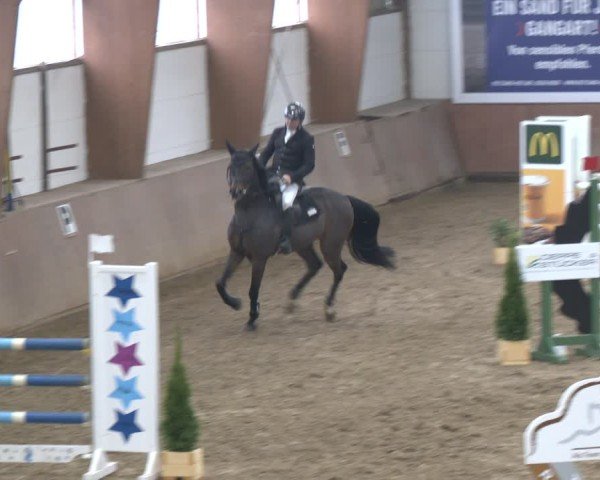 Reitturnier Bad Salzuflen 2024