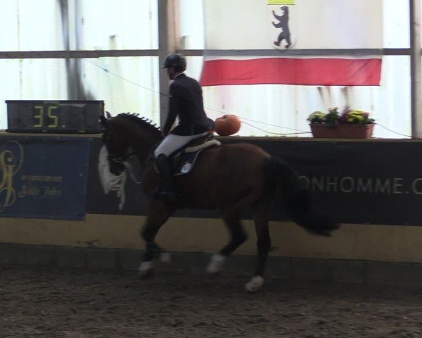 Reitturnier Pausin 2024