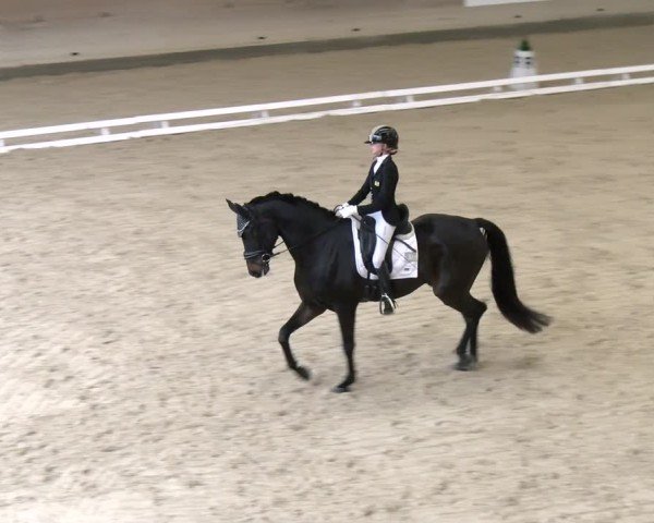 Reitturnier Schaffhausen 2024