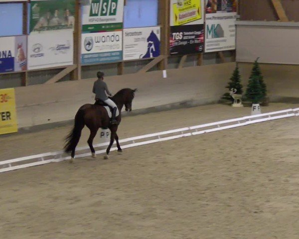 Reitturnier Schaffhausen 2024
