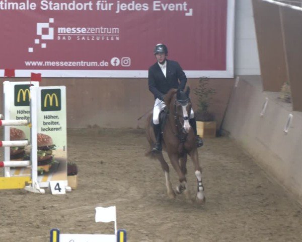 Reitturnier Bad Salzuflen 2024