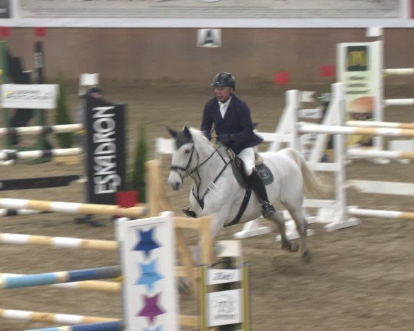 Reitturnier Bad Salzuflen 2024