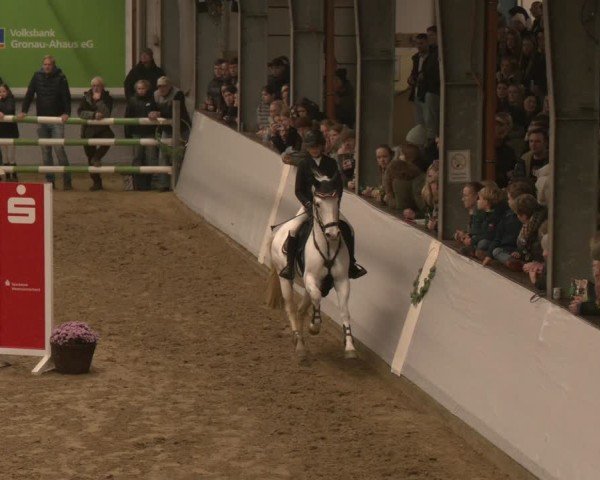 Reitturnier Legden | Ponyturnier 2024