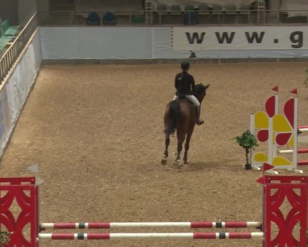 Reitturnier Kreuth/Opf. 2024