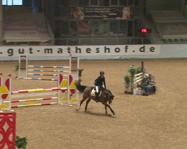 Reitturnier Kreuth/Opf. 2024