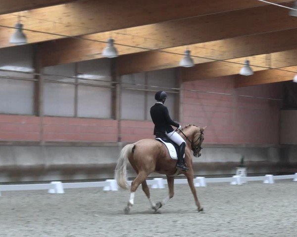 Reitturnier Tremsdorf, Eichenhof 2024
