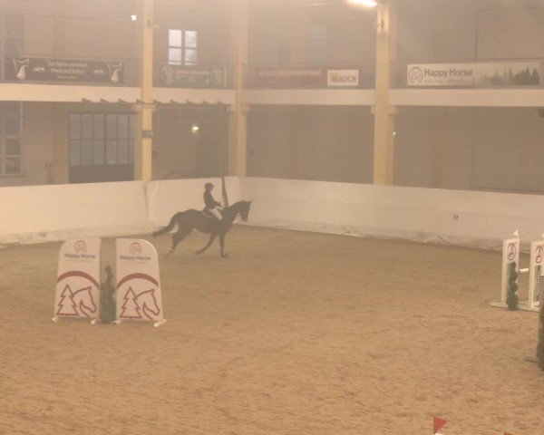 Reitturnier Stadl-Paura 2024
