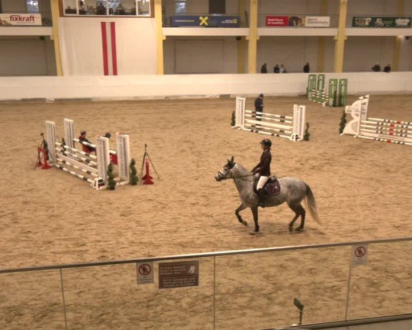 Reitturnier Stadl-Paura 2024