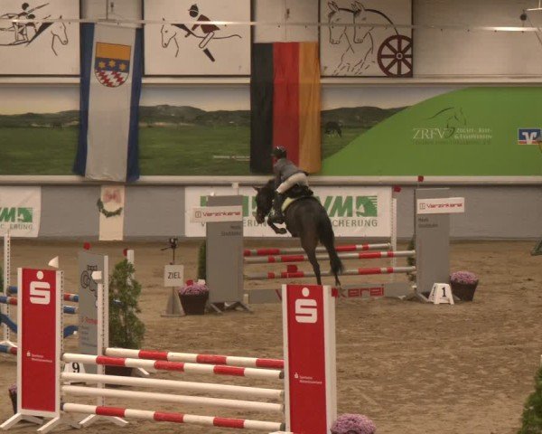 Reitturnier Legden | Ponyturnier 2024