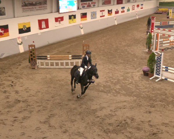 Reitturnier Legden | Ponyturnier 2024