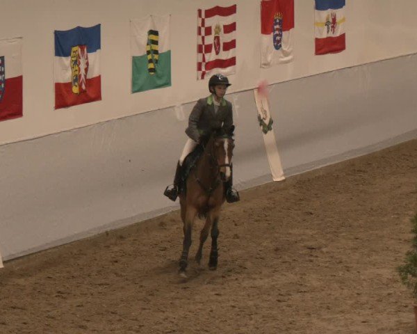 Reitturnier Legden | Ponyturnier 2024