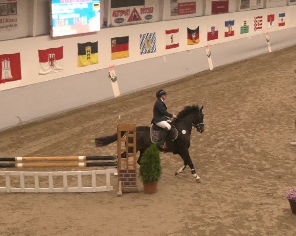 Reitturnier Legden | Ponyturnier 2024