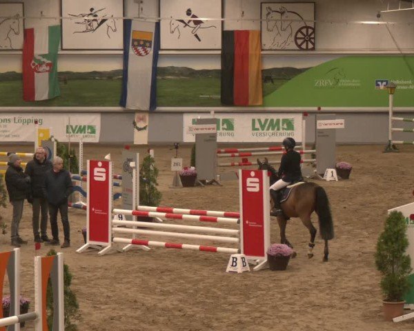 Reitturnier Legden | Ponyturnier 2024