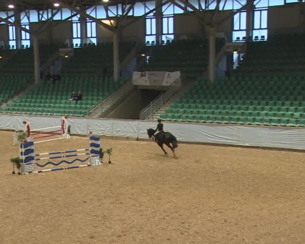 Reitturnier Kreuth/Opf. 2024