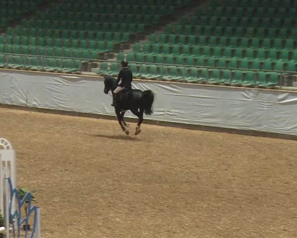 Reitturnier Kreuth/Opf. 2024