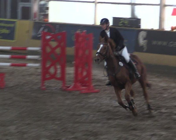 Reitturnier Pausin 2024