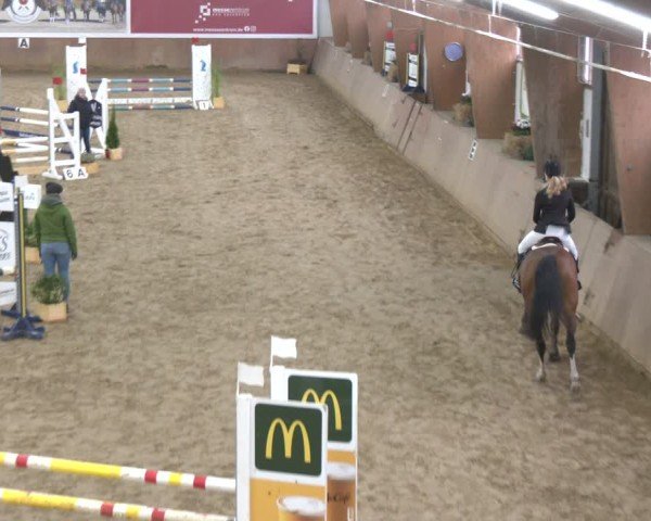 Reitturnier Bad Salzuflen 2024