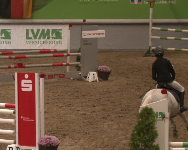 Reitturnier Legden | Ponyturnier 2024