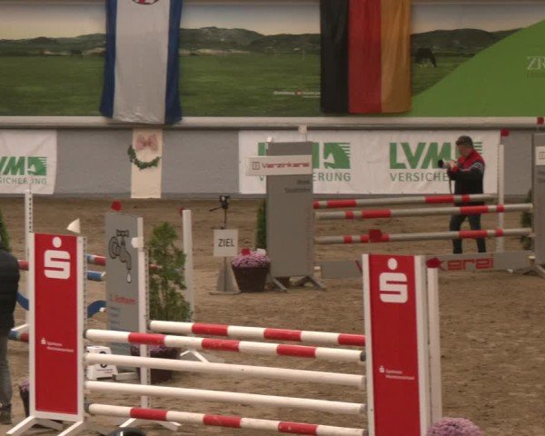 Reitturnier Legden | Ponyturnier 2024