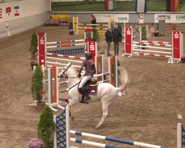 Reitturnier Legden | Ponyturnier 2024