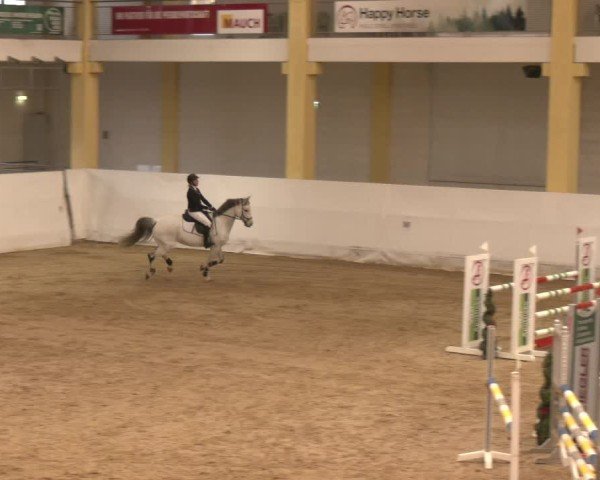 Reitturnier Stadl-Paura 2024