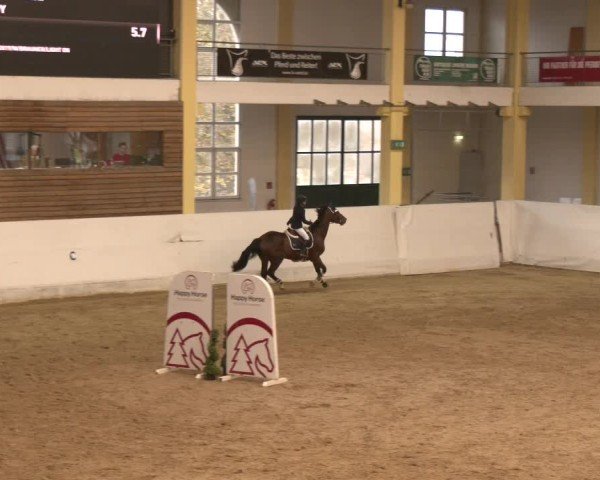 Reitturnier Stadl-Paura 2024